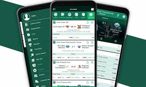 BetWinner App Your Ultimate Mobile Betting Experience