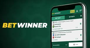 BetWinner App Your Ultimate Mobile Betting Experience