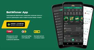 Discover the Thrilling World of BetWinner Casino